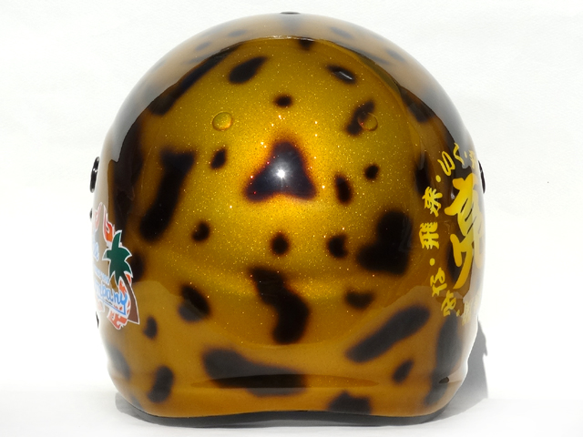 cheetah02